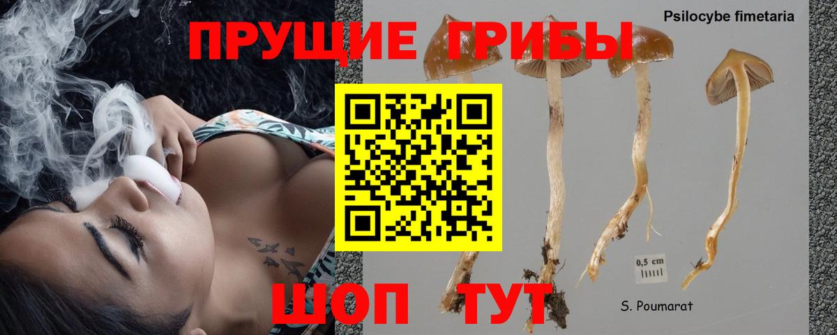 Гудермес  Галлюциногенные грибы прущие грибы  Вход с VPN  Галлюциногенные грибы мухоморы 